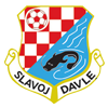 Davelský sport- logo